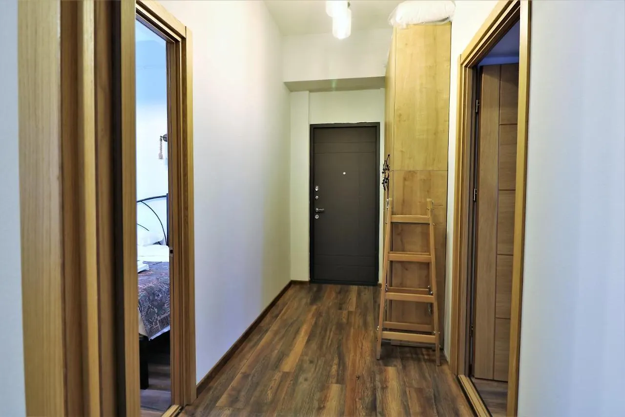 Mm Marani Hotel Tbilisi 0*,  Georgië